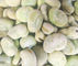Κανένα παγωμένο χρωστική ουσία Fava φασολιών σάλτσας καλό γούστο συστατικών κάλυψης υγιές ακατέργαστο