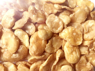 Τα χαμηλής περιεκτικότητας σε λιπαρά τηγανισμένα φασόλια Fava τσιμπούν δροσερή/ξηρά θέση Storaging διατροφών τροφίμων την πλήρη