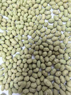 Cool And Dry Place Without Sunlight Storage Soya Bean Treats Ideal Ingredient For Nutritional Food Processing And Snacks
