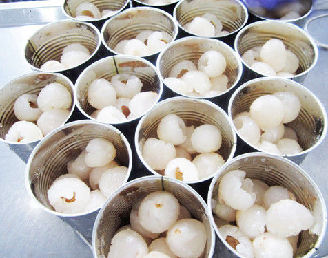 Η υγειονομική περίθαλψη καμία ζάχαρη πρόσθεσε τα κονσερβοποιημένα φρούτα καμία λίγων θερμίδων μακριά ζωή του προϊόντος στο ράφι χρωστικών ουσιών