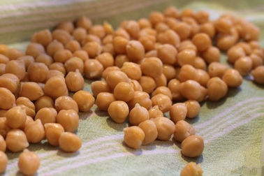 Μαύρο ψημένο πιπέρι Chickpeas πρόχειρο φαγητό, ξηρές αλατισμένες Chickpeas υψηλές διατροφές