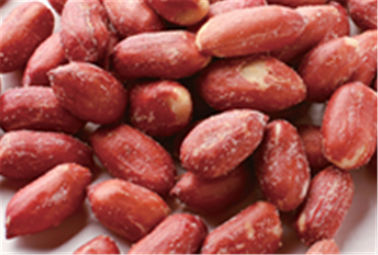 Μπύρας διάφορο γούστο HALAL Certifiaction πυρήνων φυστικιών καρυδιών μεγάλο κόκκινο ντυμένο καραμέλα