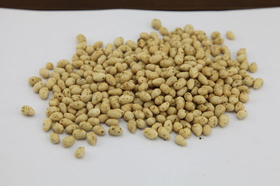 Kosher επικυρωμένο πρόχειρο φαγητό σπόρων ηλίανθων, ψημένη εύγευστη γεύση πυρήνων ηλίανθων