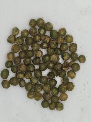 Μαύρο χρυσό σκόρδο με ενέχυρο Σμαραγδένιες πράσινες σόγιας